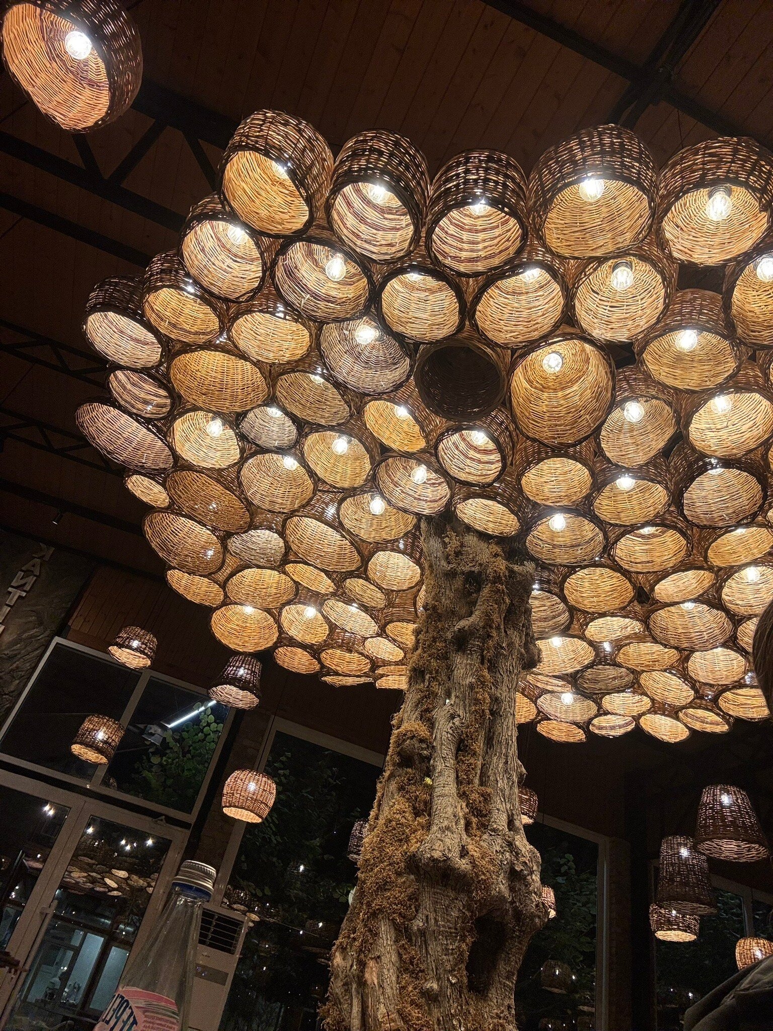 Interior with tree and chandeliers